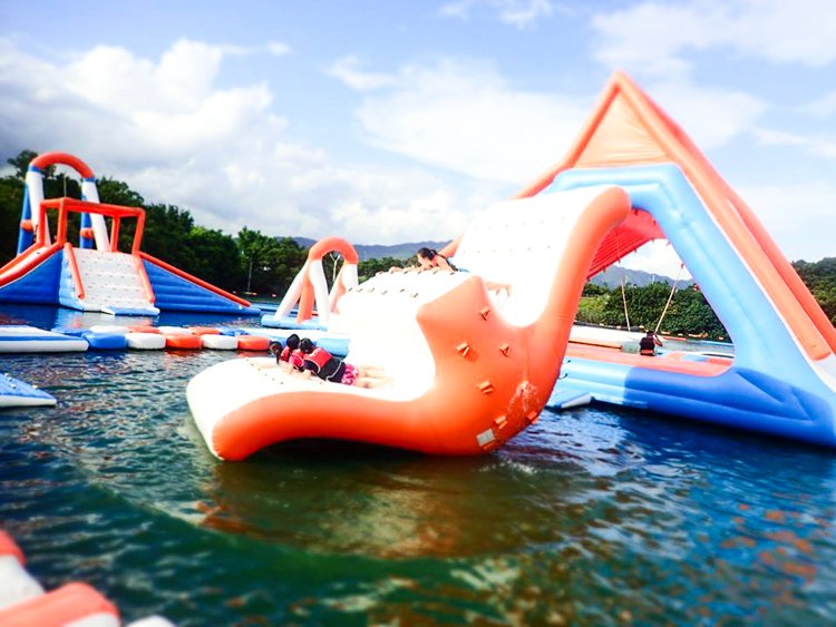 Bouncia  Array image456