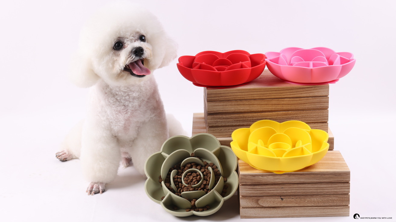 Scáth na Scannal ar Ghaoth Dobhair, image size:1313x735