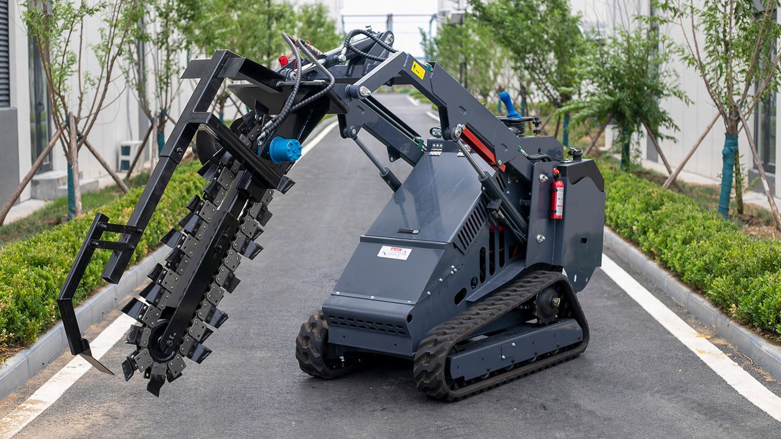 Men xotinimning mushukini yalamoqchiman