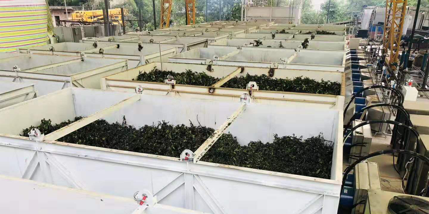 AIM Heat Pump Dryer: Cost-Efficient Secondary Drying for Spices, Nuts ...