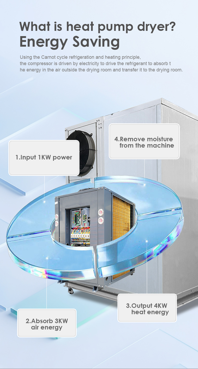 Industrial Chamber Heat Pump Food Dryer - High-Capacity & Energy ...