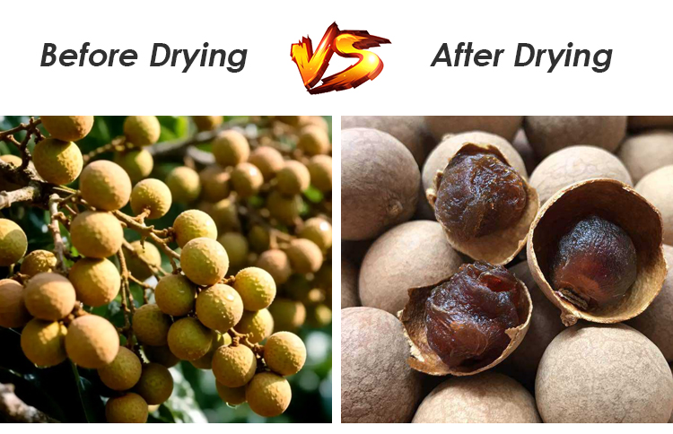 Industrial Heat Pump Food Dryer for Large Batch Longan Drying - High ...
