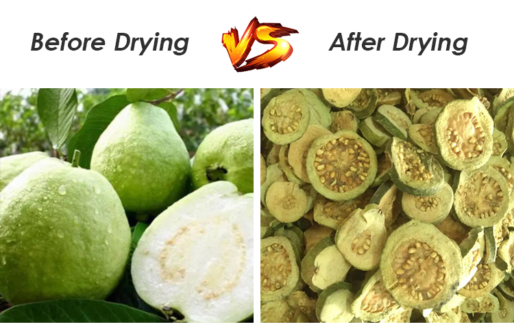 Commercial Heat Pump Dryer for Guava | 1000kg Large Industrial Food ...