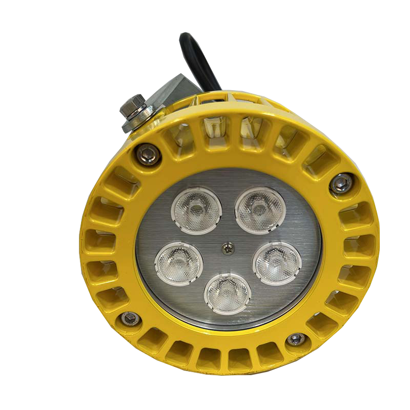 Explosion Proof Light