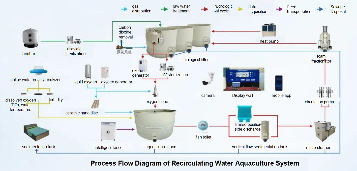 Land-based Industrialized Recirculating Aquaculture System (RAS) Process and Parameter Design (Part 2) 2