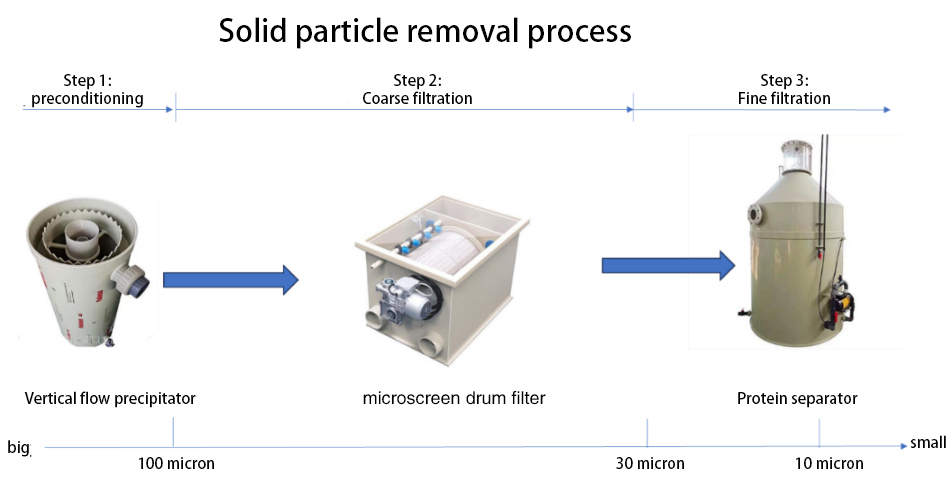 The Role and Working Principle of Protein Skimmers in Recirculating Aquaculture Systems 1