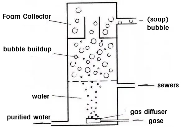 The Role and Working Principle of Protein Skimmers in Recirculating Aquaculture Systems 2