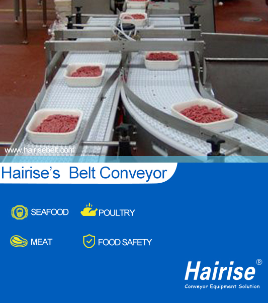 Modular Belt Conveyor For Meat