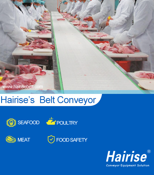 Plastic Modular Belt For Meat