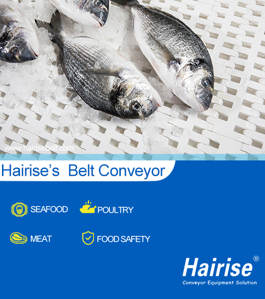 Modular Conveyor System For Fish