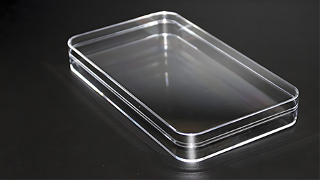 Transparent Plastic Boxes