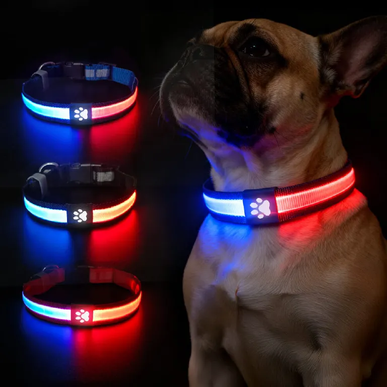 Collare Luminoso Per Cani, Collare Per Animali Domestico LED - Foto 11
