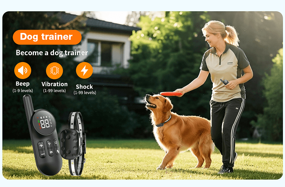 hundehalsband mit vibration und strom Hunde Erziehungshalsband Gemäß Dem Gesetz Konform