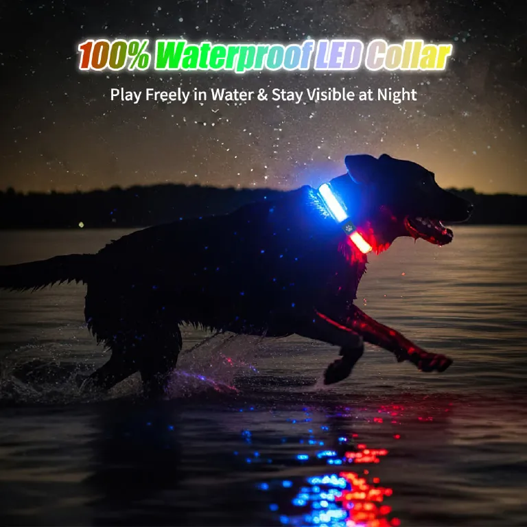 Collare Luminoso Per Cani, Collare Per Animali Domestico LED - Foto 4