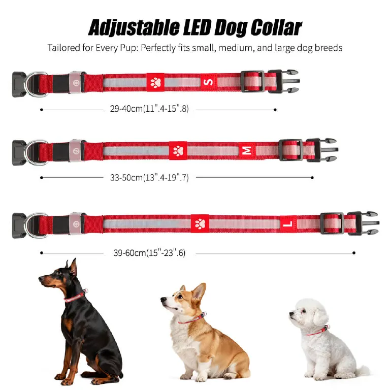 Collare Luminoso Per Cani, Collare Per Animali Domestico LED - Foto 5