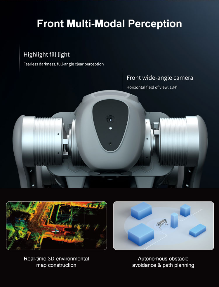 FOXTECH C1 Series Intelligent Bionic Quadruped Robot for Inspection ...
