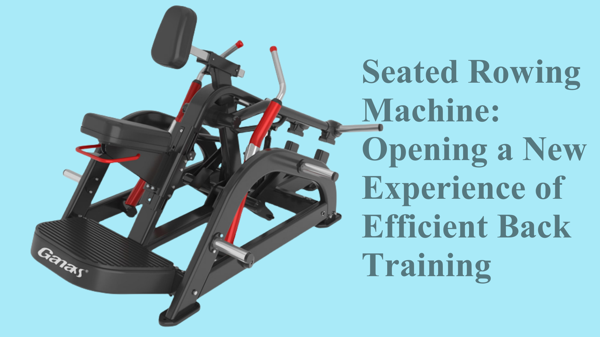 Seated Rowing Machine: Opening a New Experience of Efficient Back ...