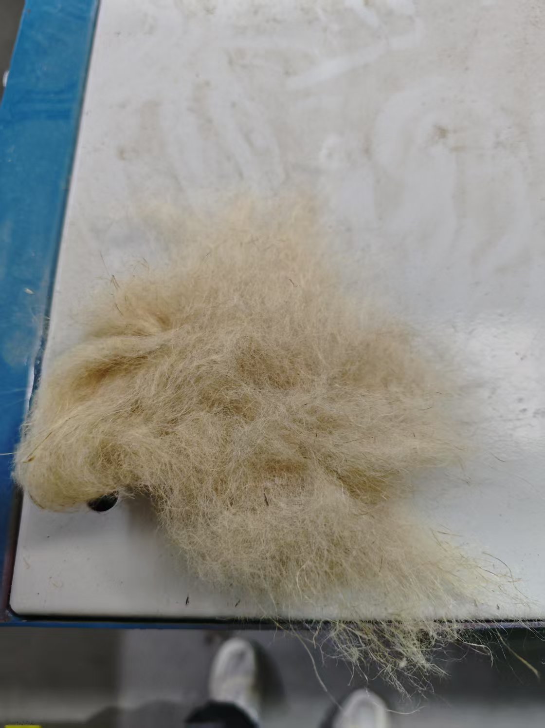  Best Which fabric recycling machine manufacturer specializes in providing solutions for recycling cotton, polyester, and blen Factory Price - Xinjinlong Machinery 