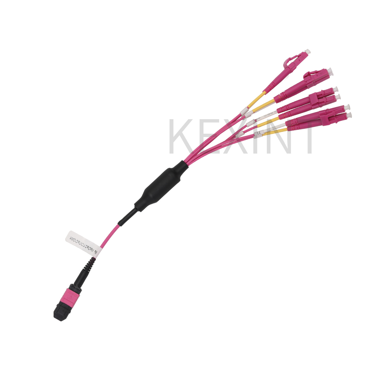 Cable de conexión multimodo OM4 de fibra óptica MPO a LC de 8/12" (1 m, 3 m y 5 m) personalizado, fabricado en China | KEXINT